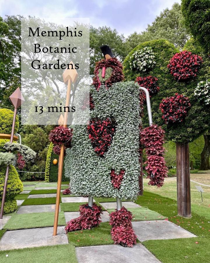 The Olive Bird Chalet In Central Gardens, Memphis Tn Екстер'єр фото